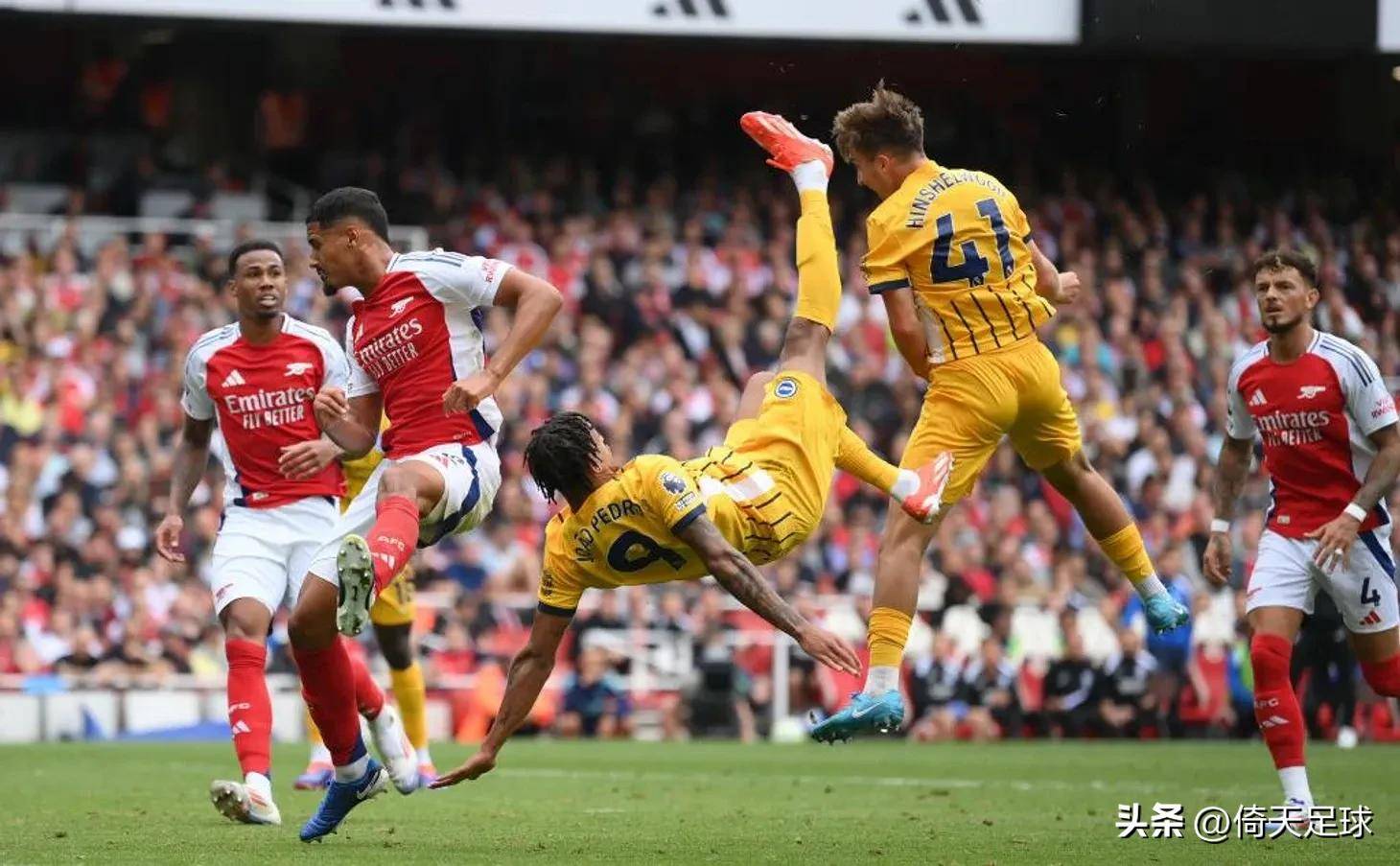 主办方渠道 主办方渠道