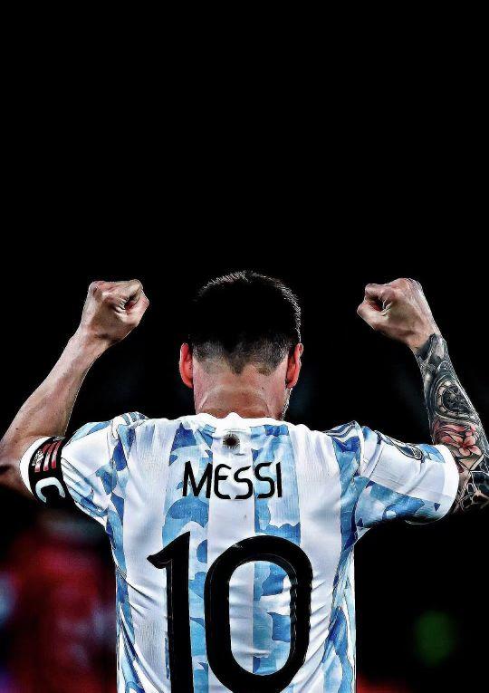 能量回复 能量回复